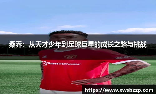 必威betway西汉姆联官网